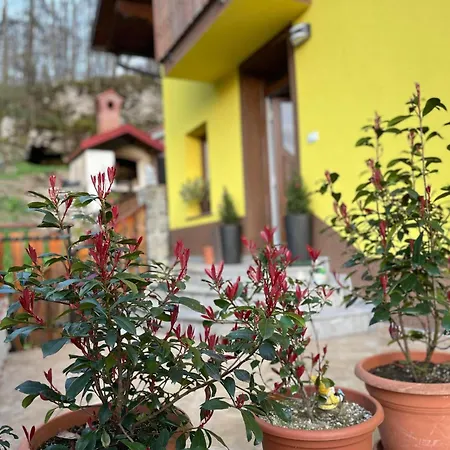 Apartment Soncni Zahod *